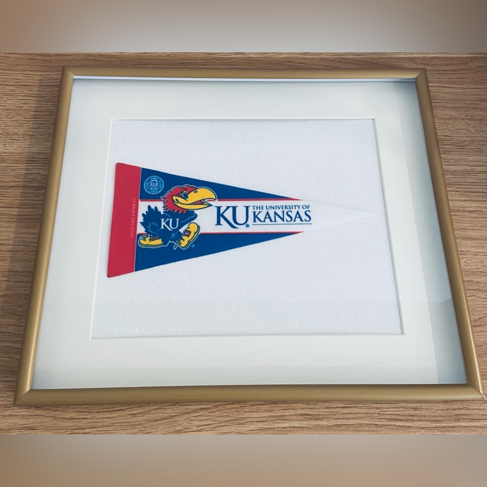 College/University Pennant Flags Framed 11x13